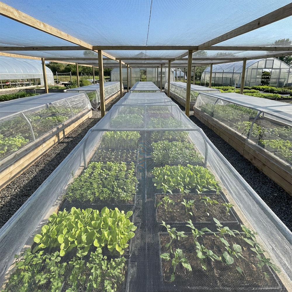 Come scegliere la giusta rete anti-insetti per le verdure?