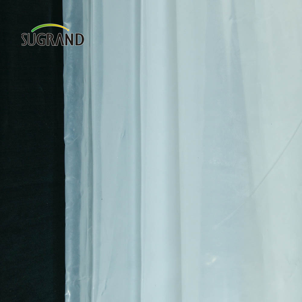 Film di serra di fabbrica a buon mercato Film waterproof 150 micron Film per ortaggi per ortaggi