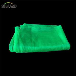 Protezione dell'edificio Plastica blu da 50 gsm Impostazione Fornitori della rete di sicurezza