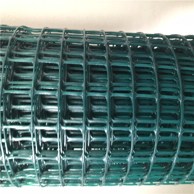 Agricoltura in rete quadrata per arrampicarsi con fiori o piante