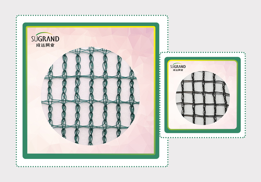 rete per olive-2 (2)