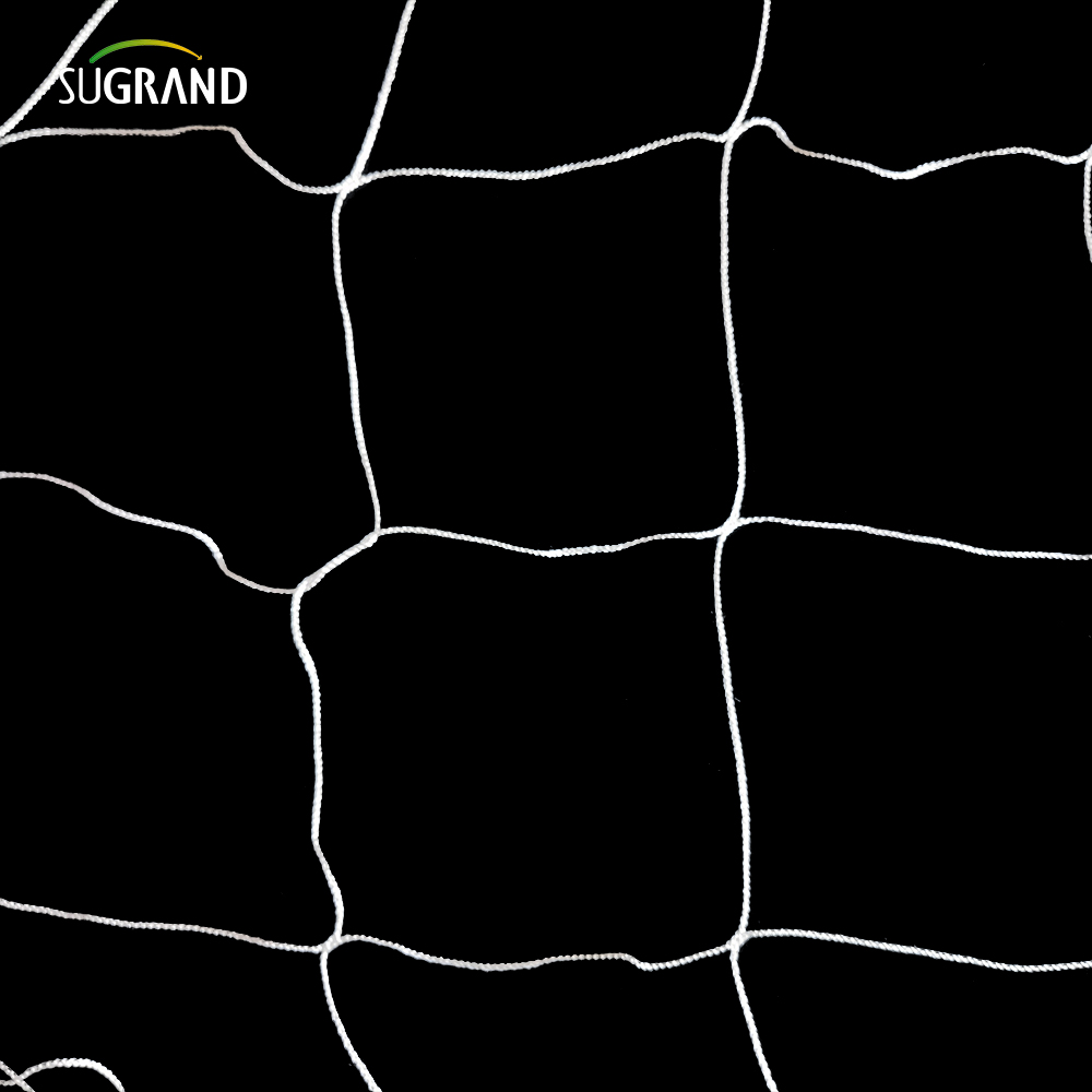 Supporto per piante di nylon bianco all'ingrosso Trellis reti da 5x15 piedi da 6 'mesh per l'arrampicata