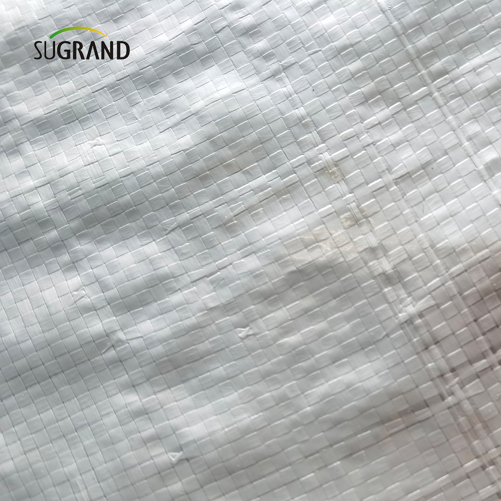 Factory Direct Wholesale White Plastic PE UV Foglio.