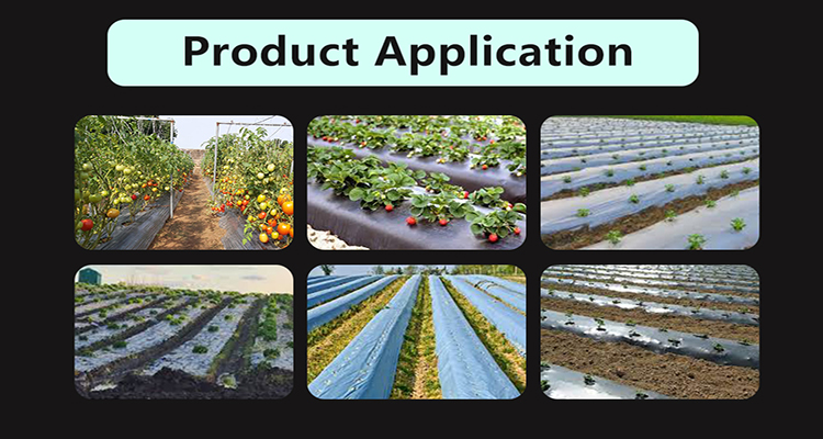 Film di pacciame agricola