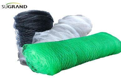 Come le reti anti -uccelli supportano l'agricoltura sostenibile