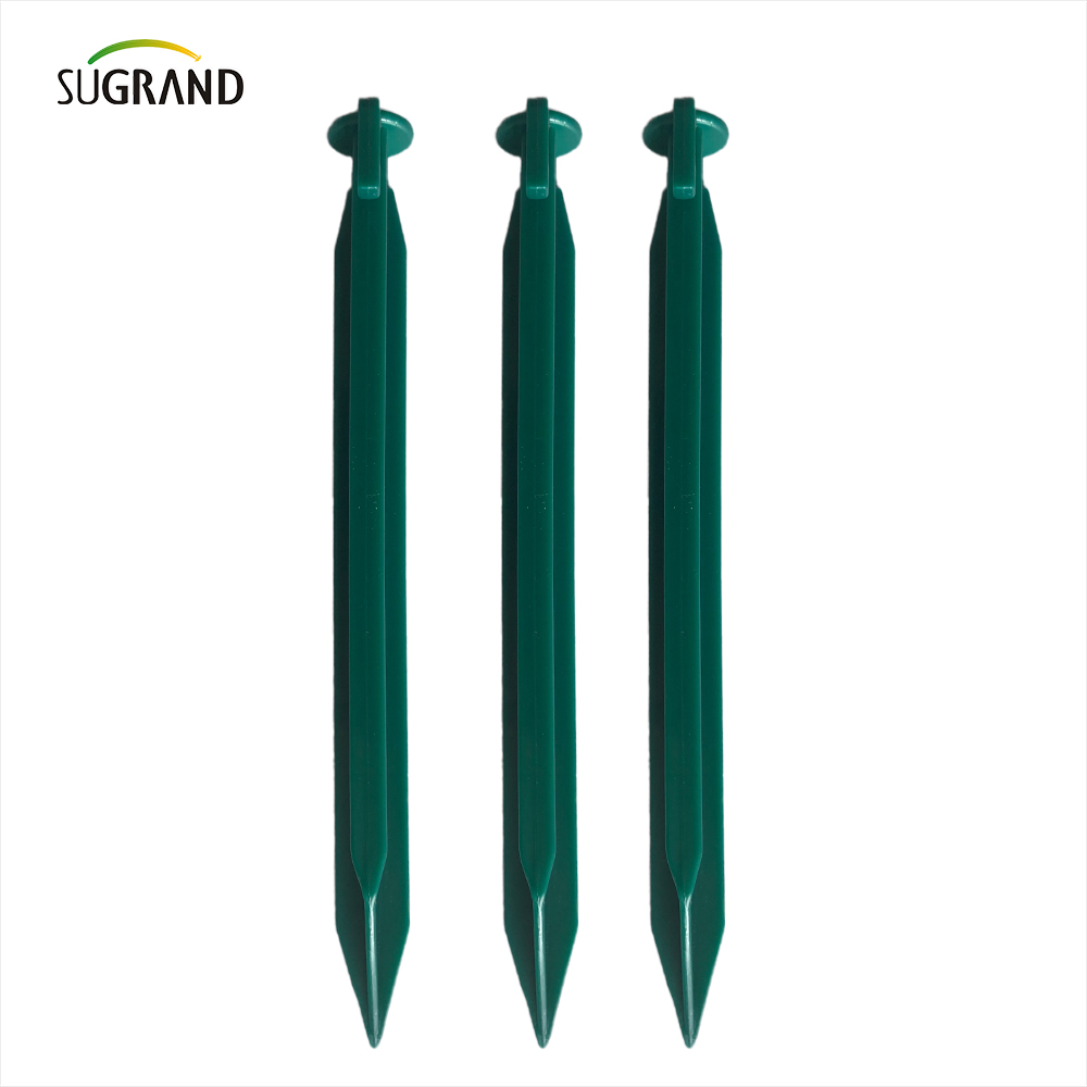 China Factory Factory Qualità in plastica chiodi a terra che fissa il tappetino 