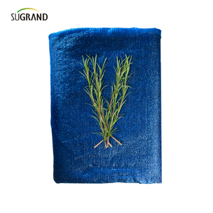 Sei aghi mono+nastro blu ret