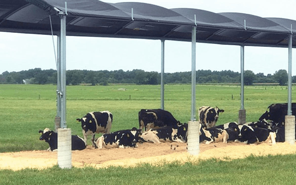 Sono vele ombra impermeabili