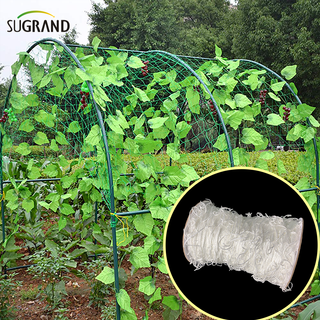 Piante da arrampicata a rete bianca in nylon a supporto della rete