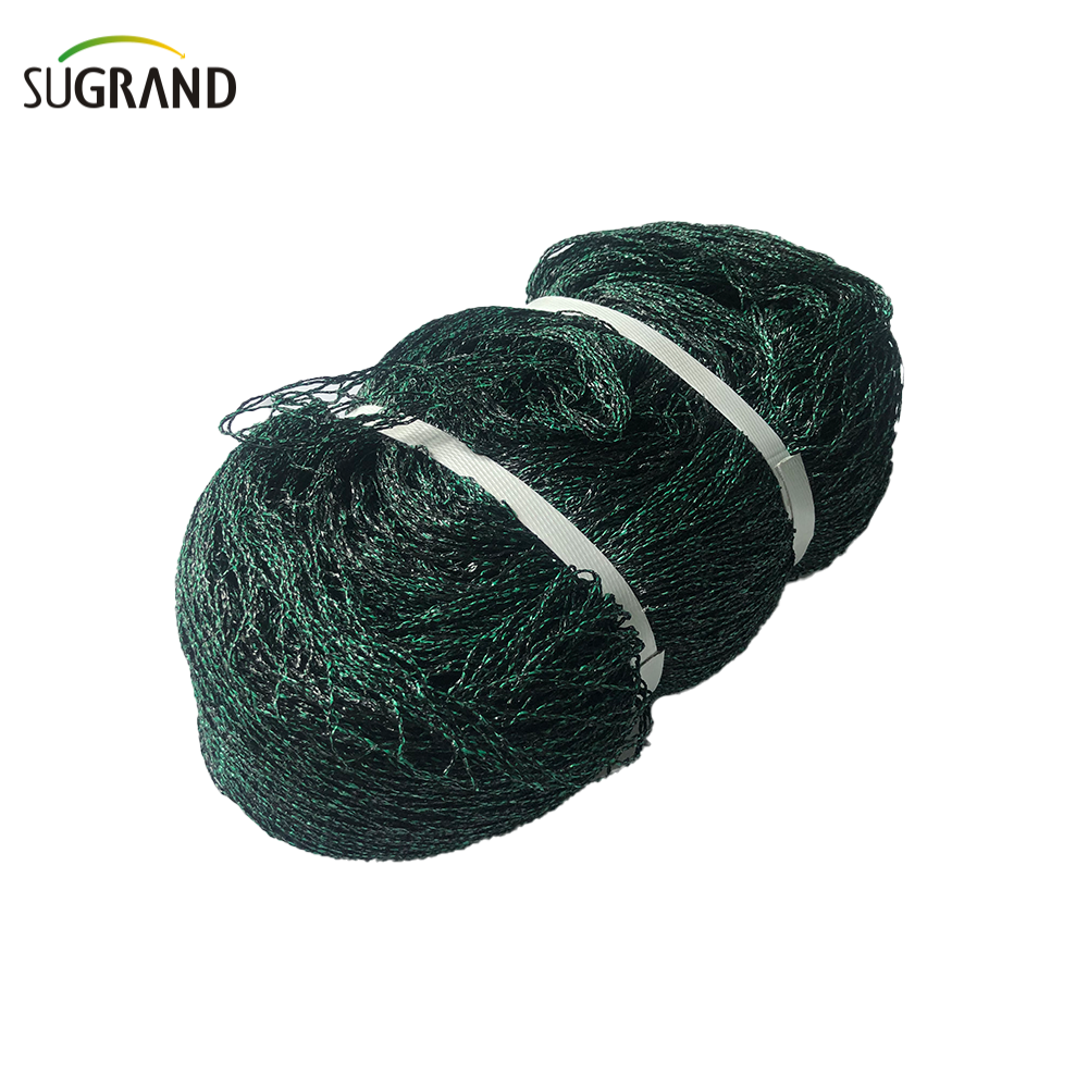 NETTINA DEI BIRCI PER FRUTTO MEGHT BLACI e VERDE PICCIO