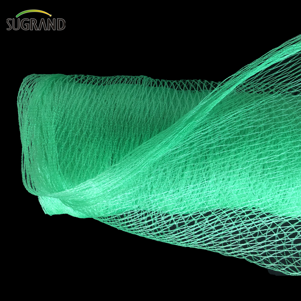 Green Bird Net 4x30m Bird Net per i fornitori del mercato della Thailandia
