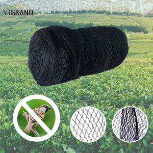Black 17MX17M Pigeon Net Anti Bird Ret per alberi da frutto