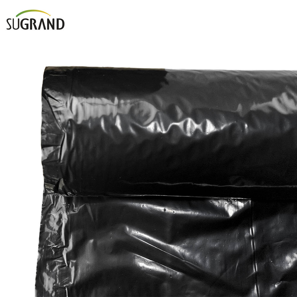 Biotelo Film Pacciamante Biodegradabile Agriplast Pacciamatura Agri Mulch