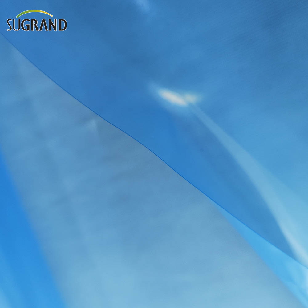  6 mil film in polietilene serra pellicola in plastica serra blu 