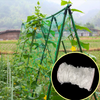 Garden Green White Balck Trellis Plant Support Support Fornitori di rete