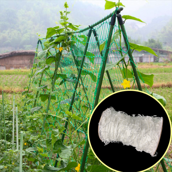 Garden Green White Balck Trellis Plant Support Support Fornitori di rete