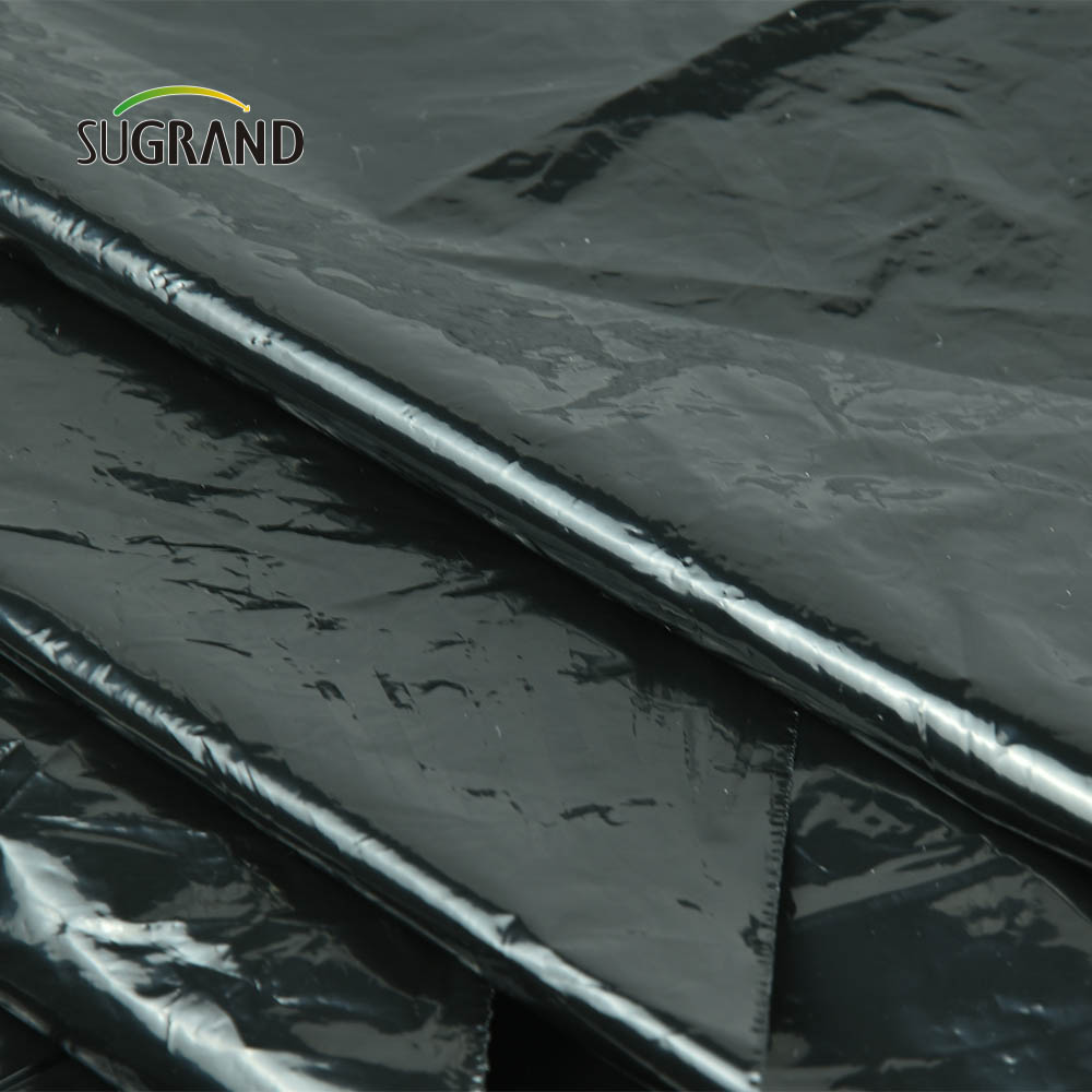 Prezzo di fabbrica a buon mercato Black Plastic Mulch Biodegradable UV Much Film per agricoltura