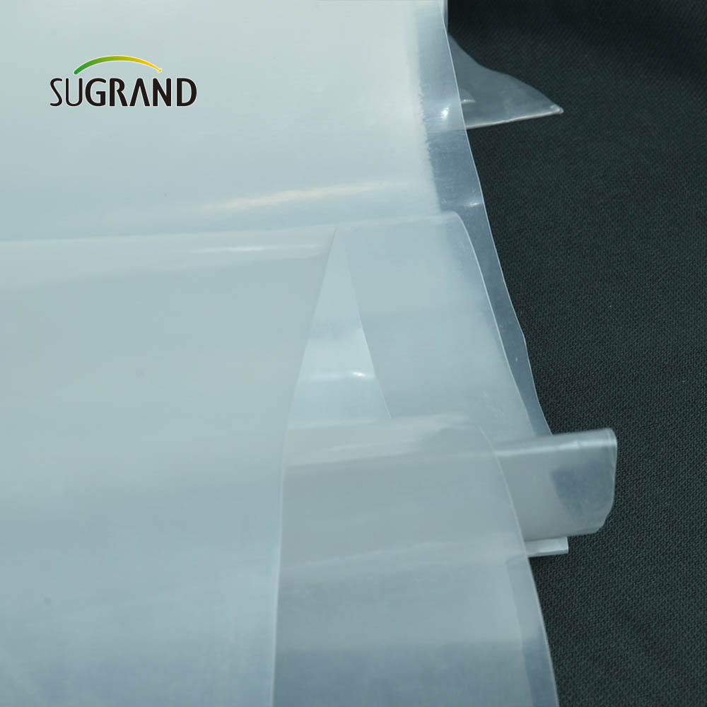 Film di serra di fabbrica a buon mercato Film waterproof 150 micron Film per ortaggi per ortaggi