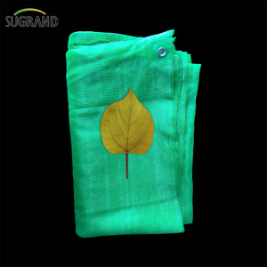 Materiale 100% MATERIALE HDPE Green Impostazione NET Building Edifici NET