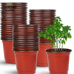 Starter da giardino coltiva di vassoi piante da pentola per piantine