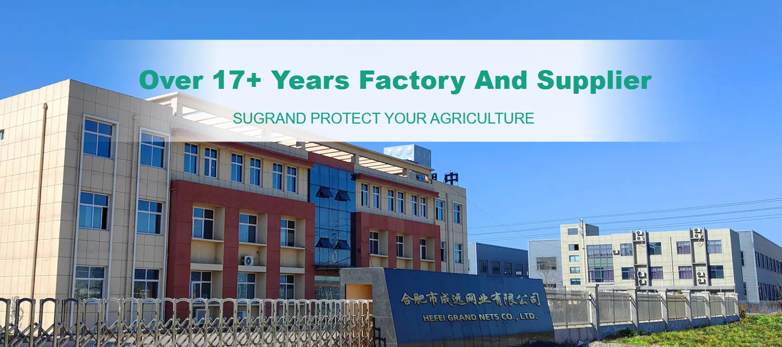 Quale copertura del terreno a colori funziona meglio nei giardini?