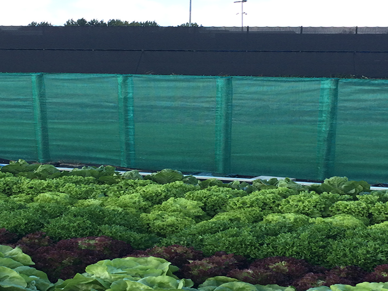 Usi innovativi della rete a vento nelle aree residenziali