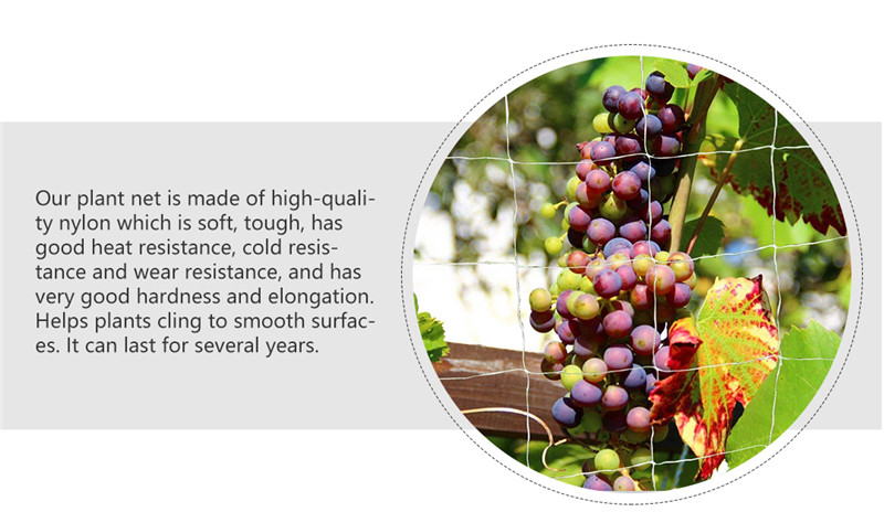 plant support net 3 rete sostegno piante 3