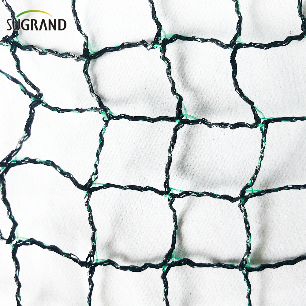 NETTINA DEI BIRCI PER FRUTTO MEGHT BLACI e VERDE PICCIO