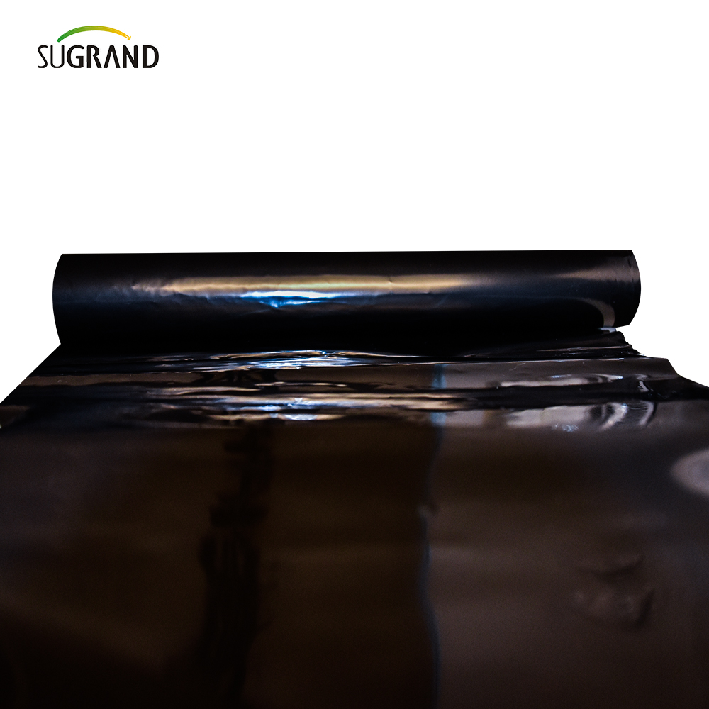 PE GARDER MAT AGRIGULTURA Film di pacciame di plastica