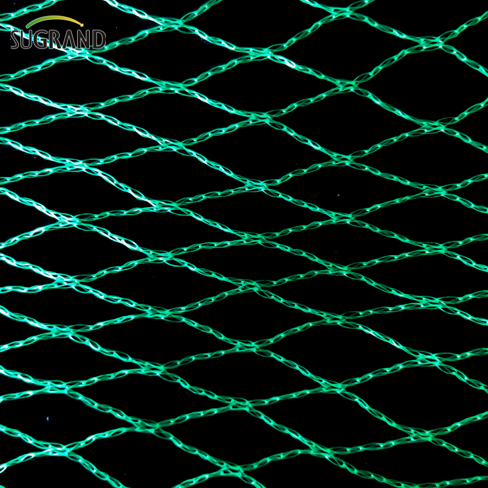 Green Bird Net 4x30m Bird Net per i fornitori del mercato della Thailandia