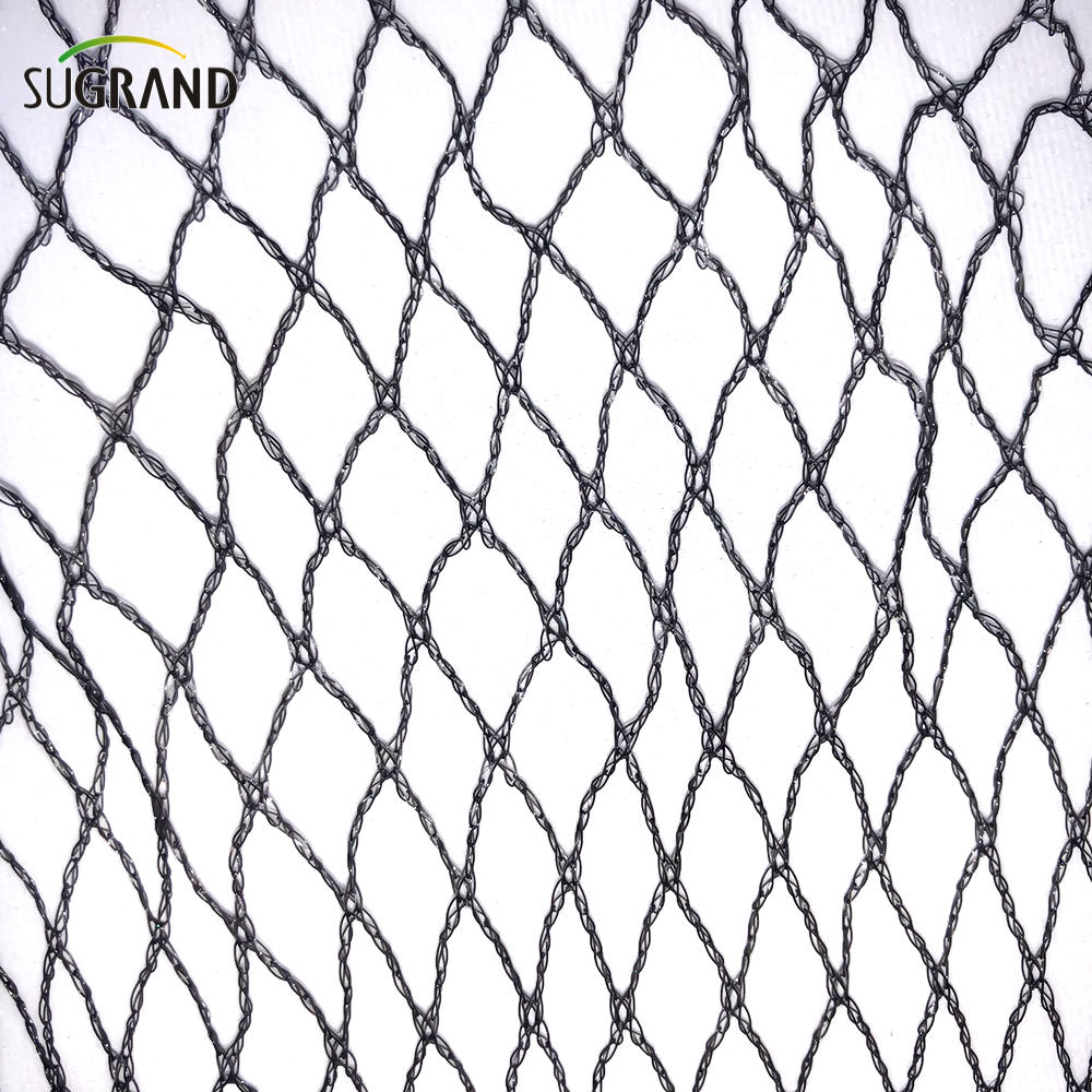 7gsm Green Anti-Bird Netting Uso per le piante