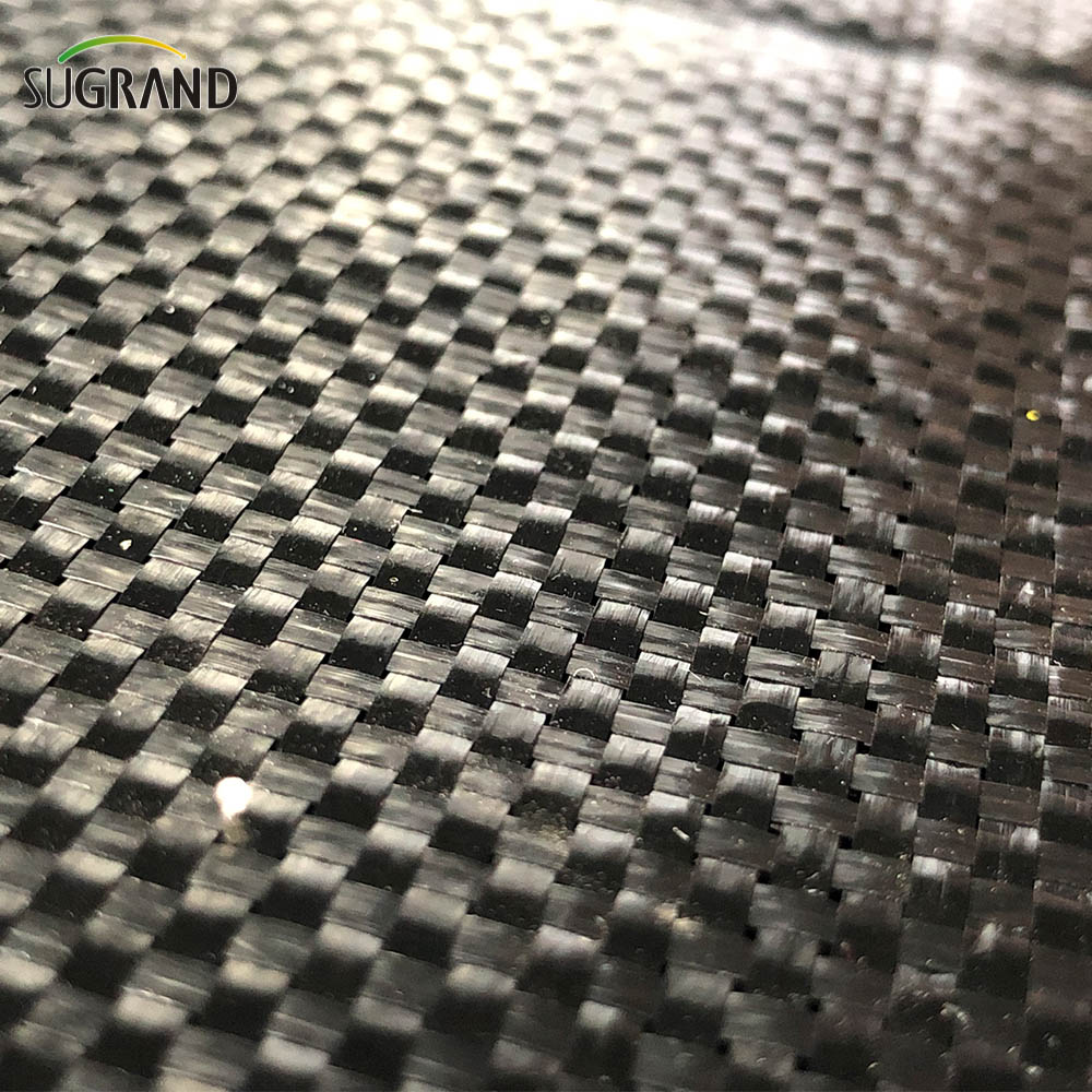 PP Verde e nero Copertura intrecciata Membrana Erbaccia