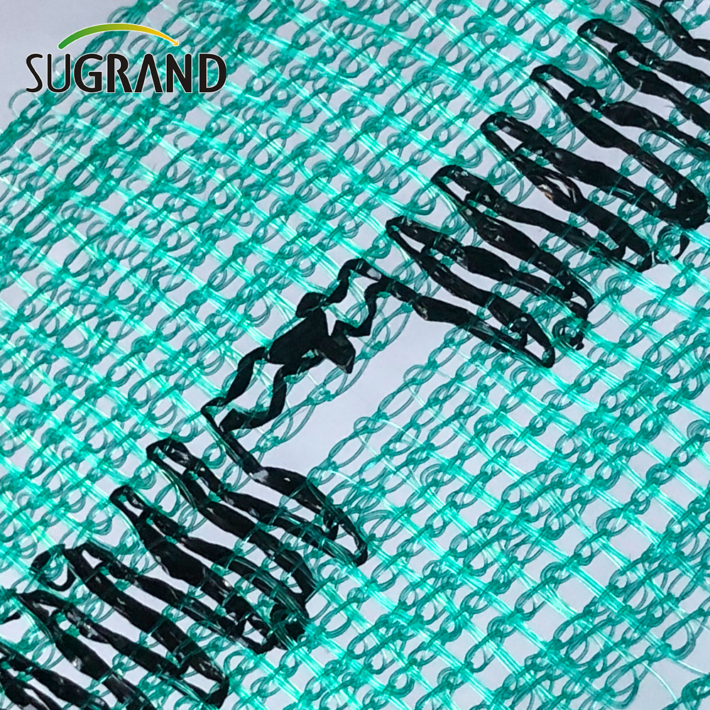 Forniture Net Net di sicurezza per impalcature per costruzione di 750GSM verdi