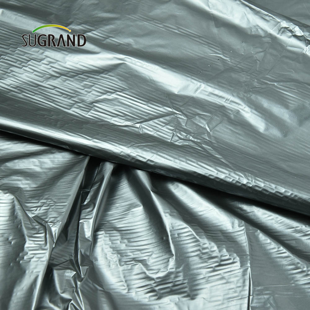 Prezzo di fabbrica a buon mercato Black Plastic Mulch Biodegradable UV Much Film per agricoltura