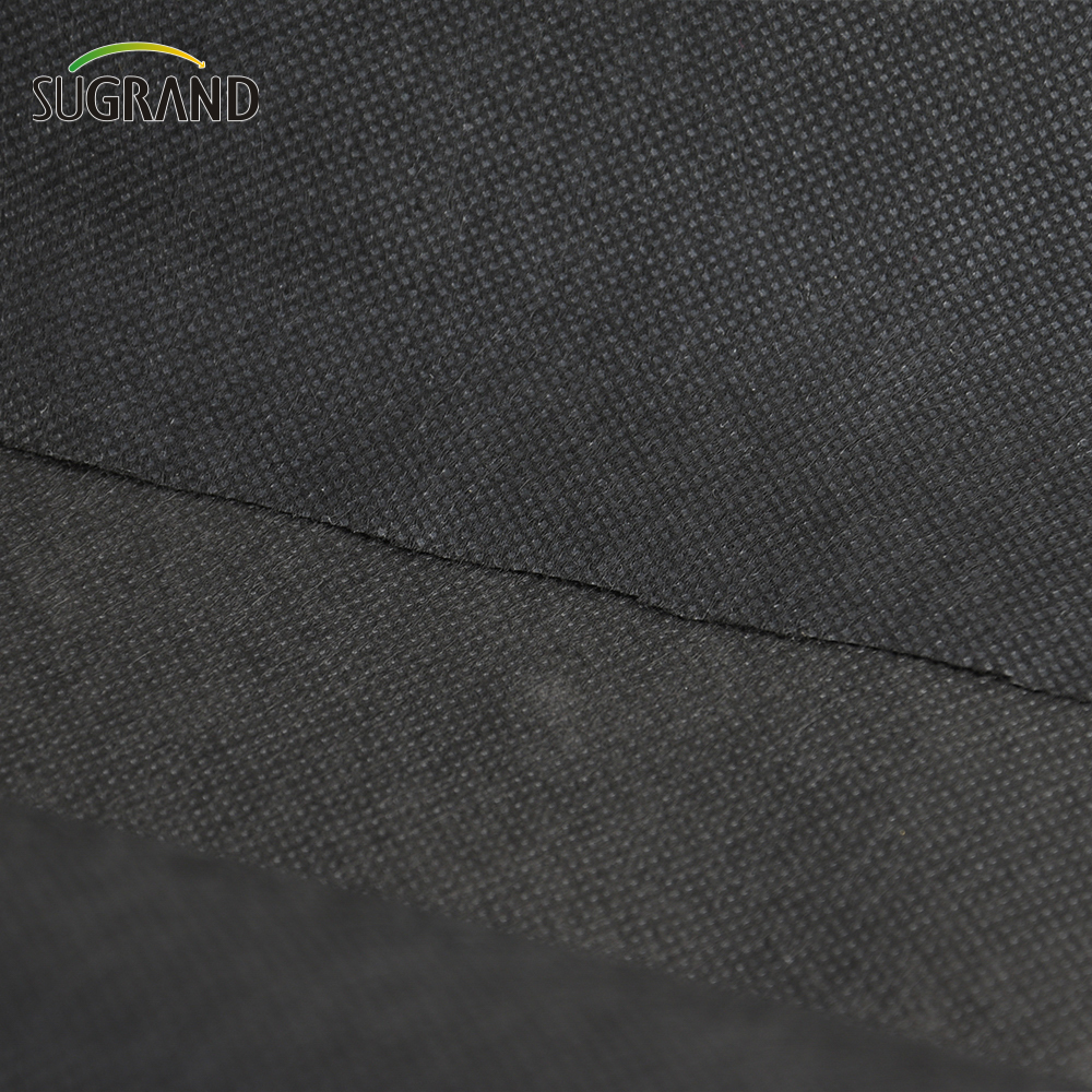 Copertura pianta in tessuto non tessuto Matro di controllo infestanti 100 pp tessuto non tessuto