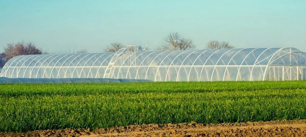 Hefei Grand reti CO., LTD