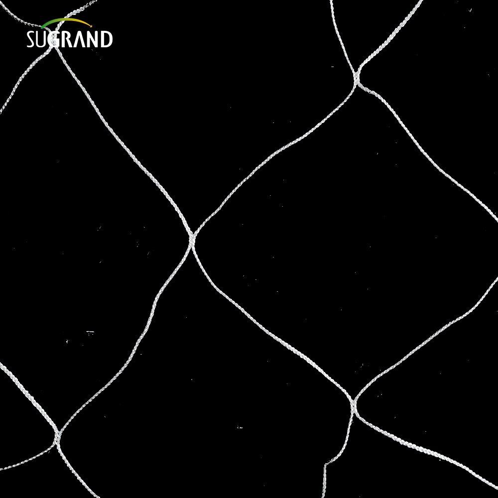 Supporto per piante di nylon bianco all'ingrosso Trellis reti da 5x15 piedi da 6 'mesh per l'arrampicata