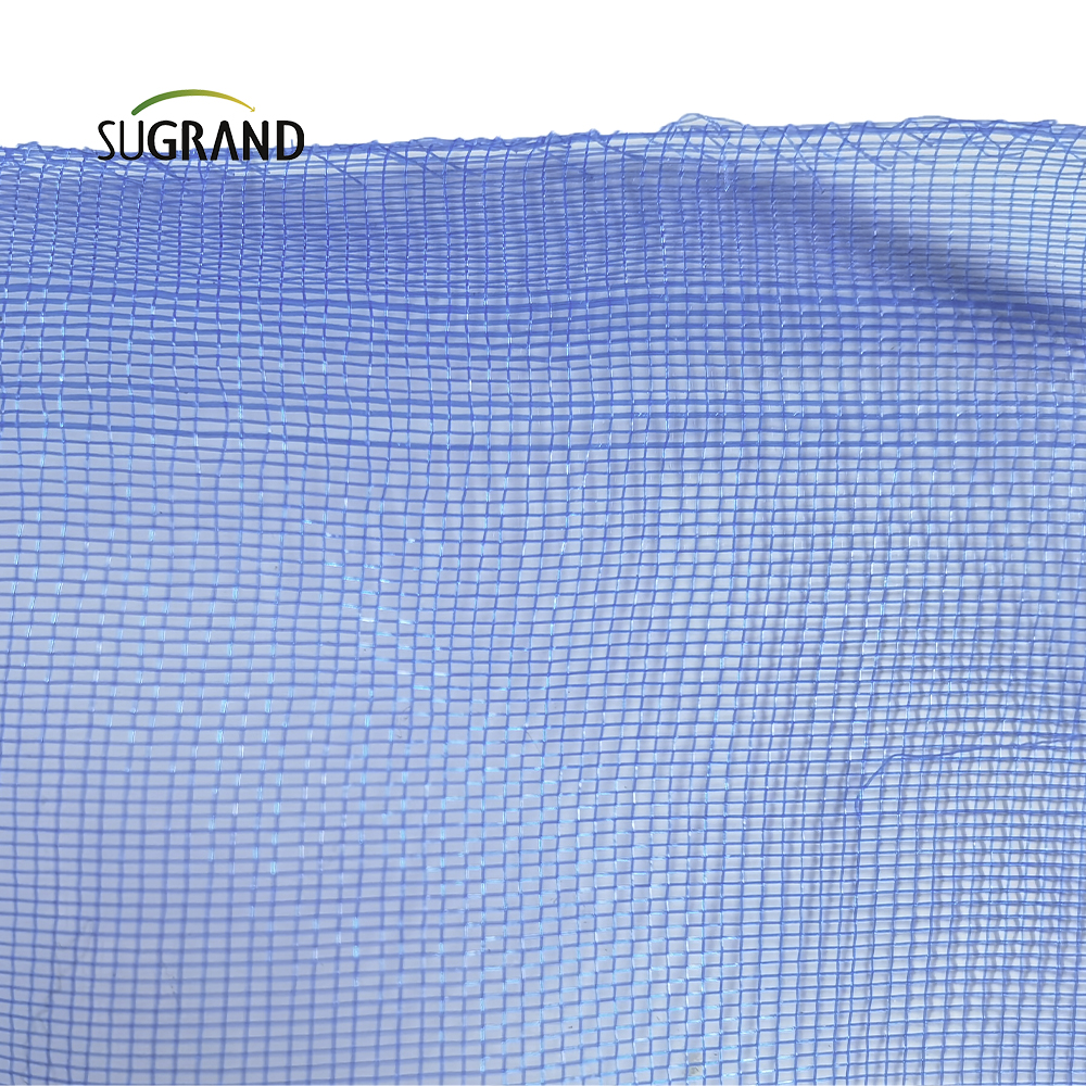 Mesh netta per insetti a schermo blu nigeriano per finestre o porta 