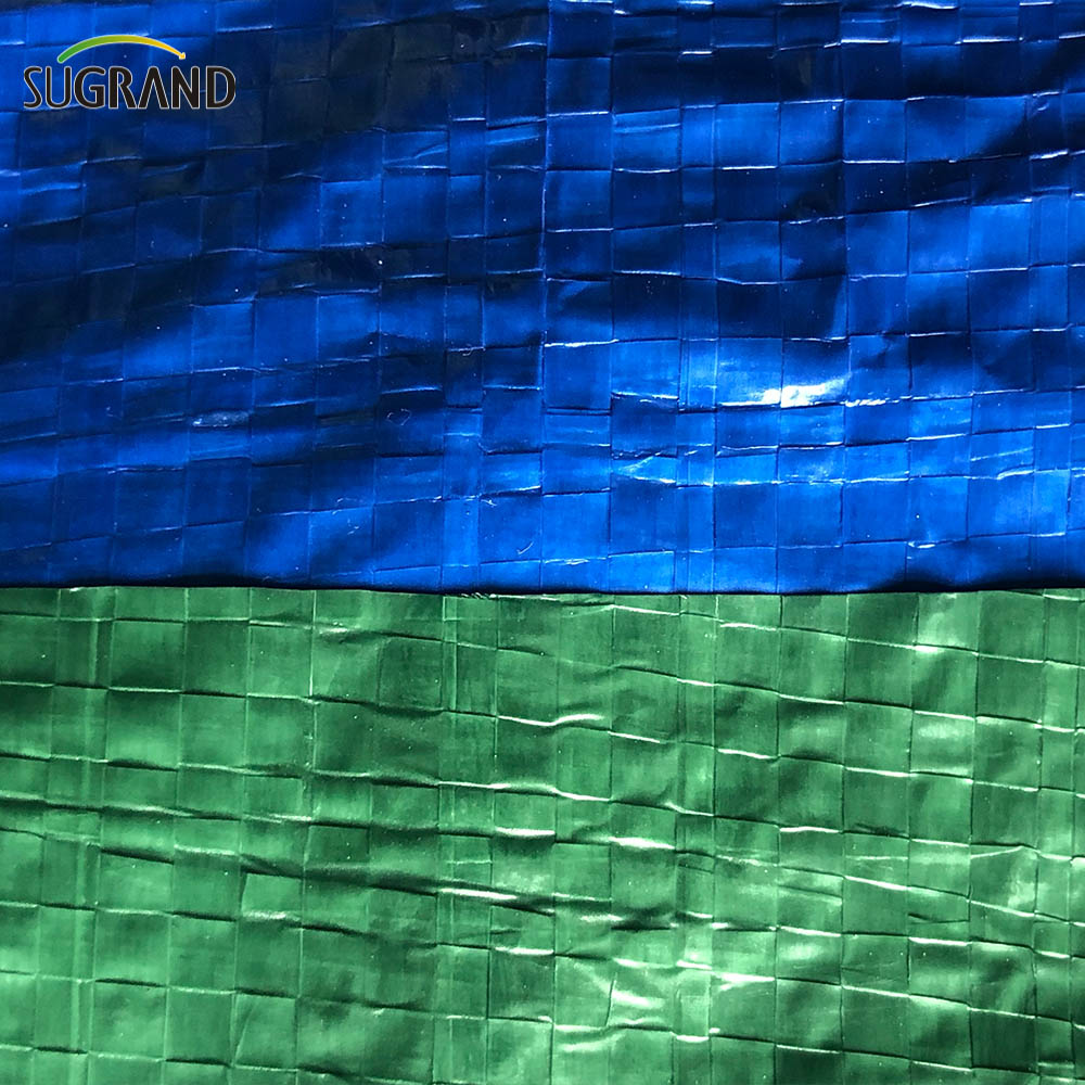 Tela di plastica impermeabile PE Tarpaulin blu-verde per agricoltura