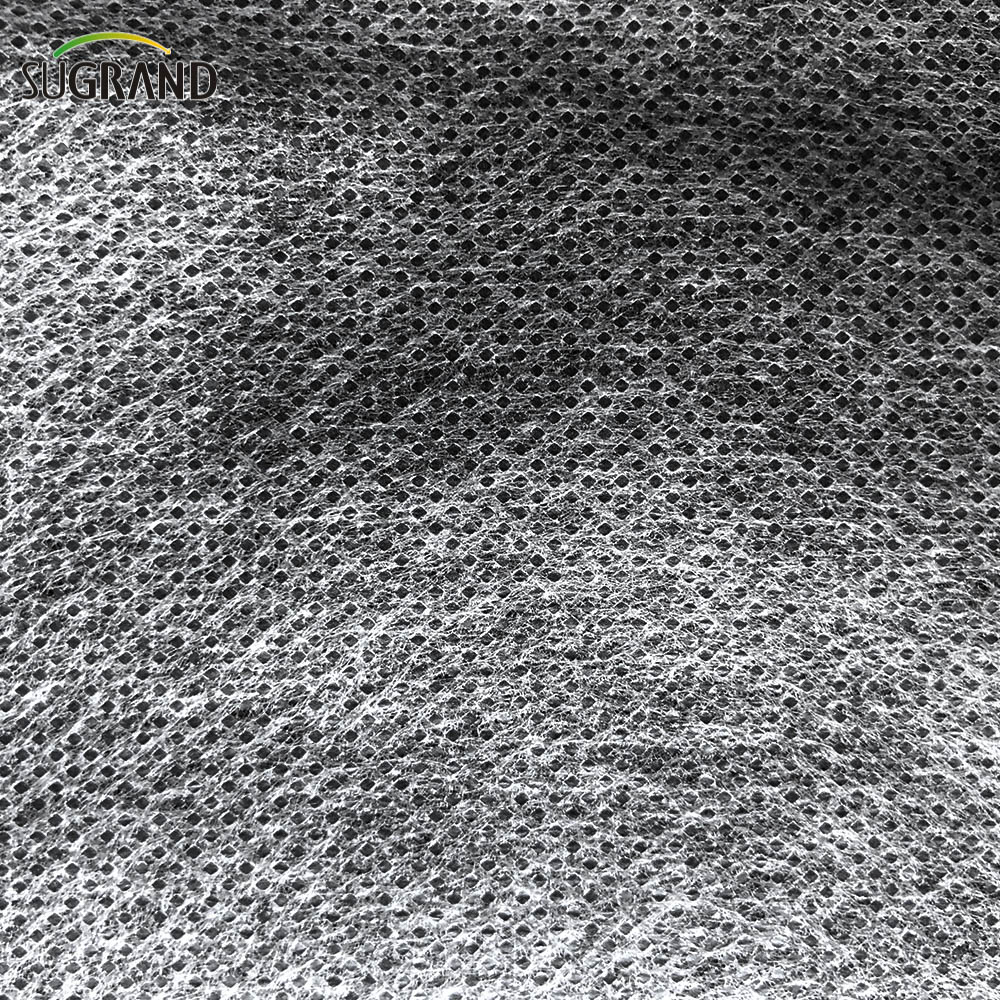 PP Tessuto non tessuto per il controllo delle infestanti per il paesaggio