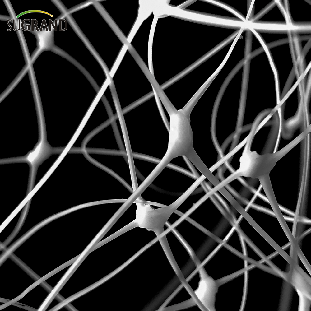 Garden Green White Balck Trellis Plant Support Support Fornitori di rete