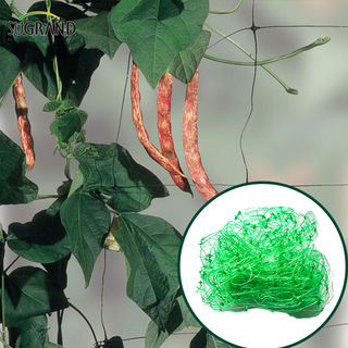 HDPE Plant Protection Net Plant Support Support Net Climbing Trellis Net
