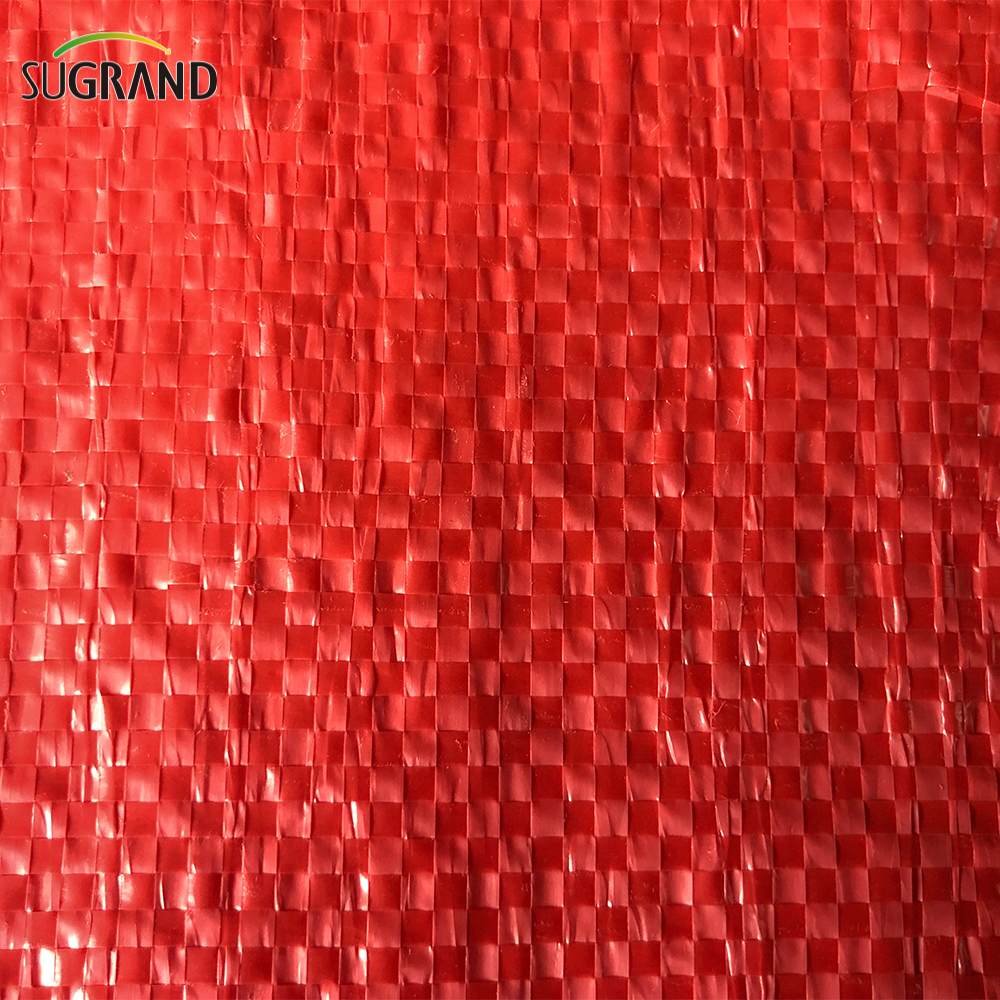 Mercato del Cile Sacchetti di patate in rete di plastica Sacchetti di cipolla Borsa in rete PP