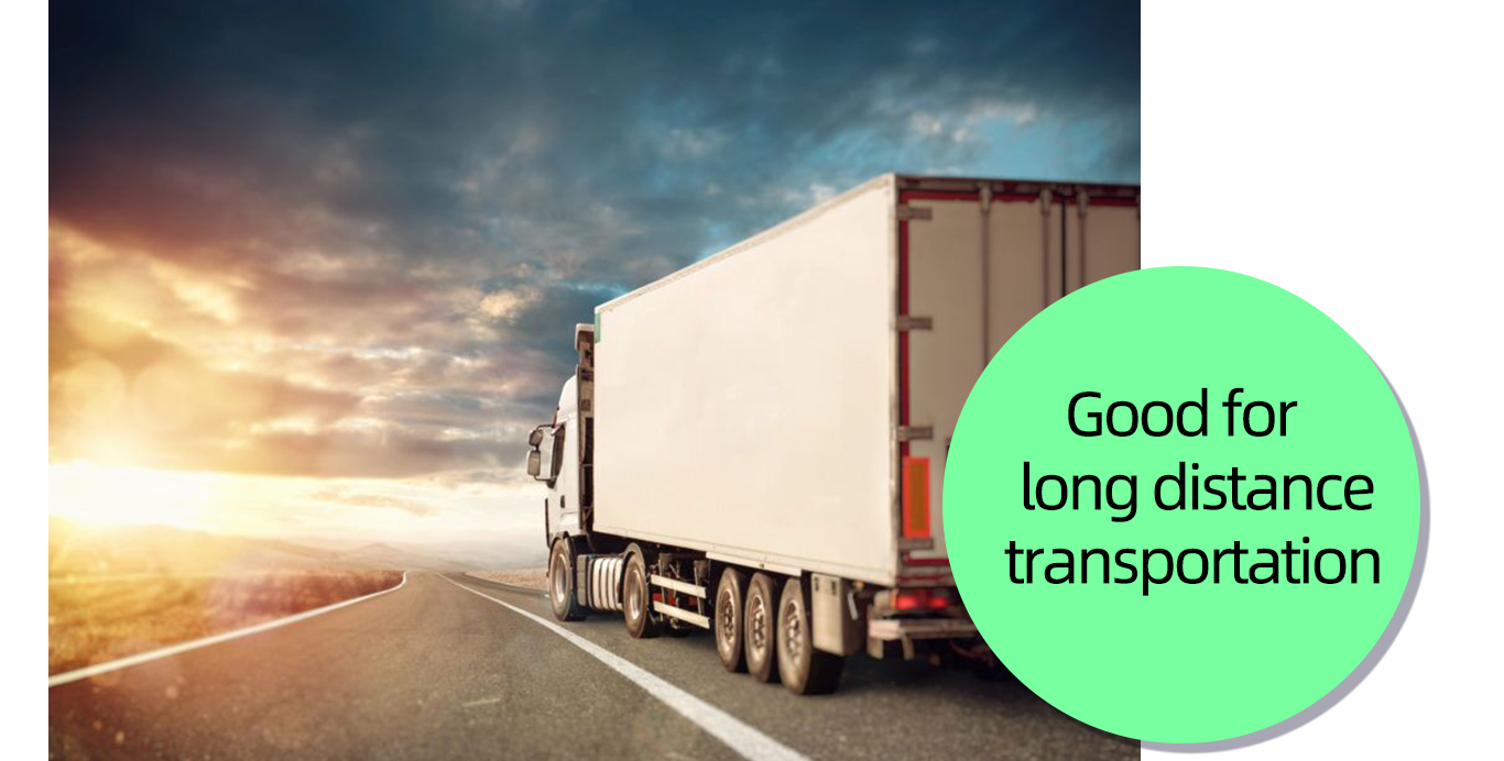 Vassoi per principianti di piantine