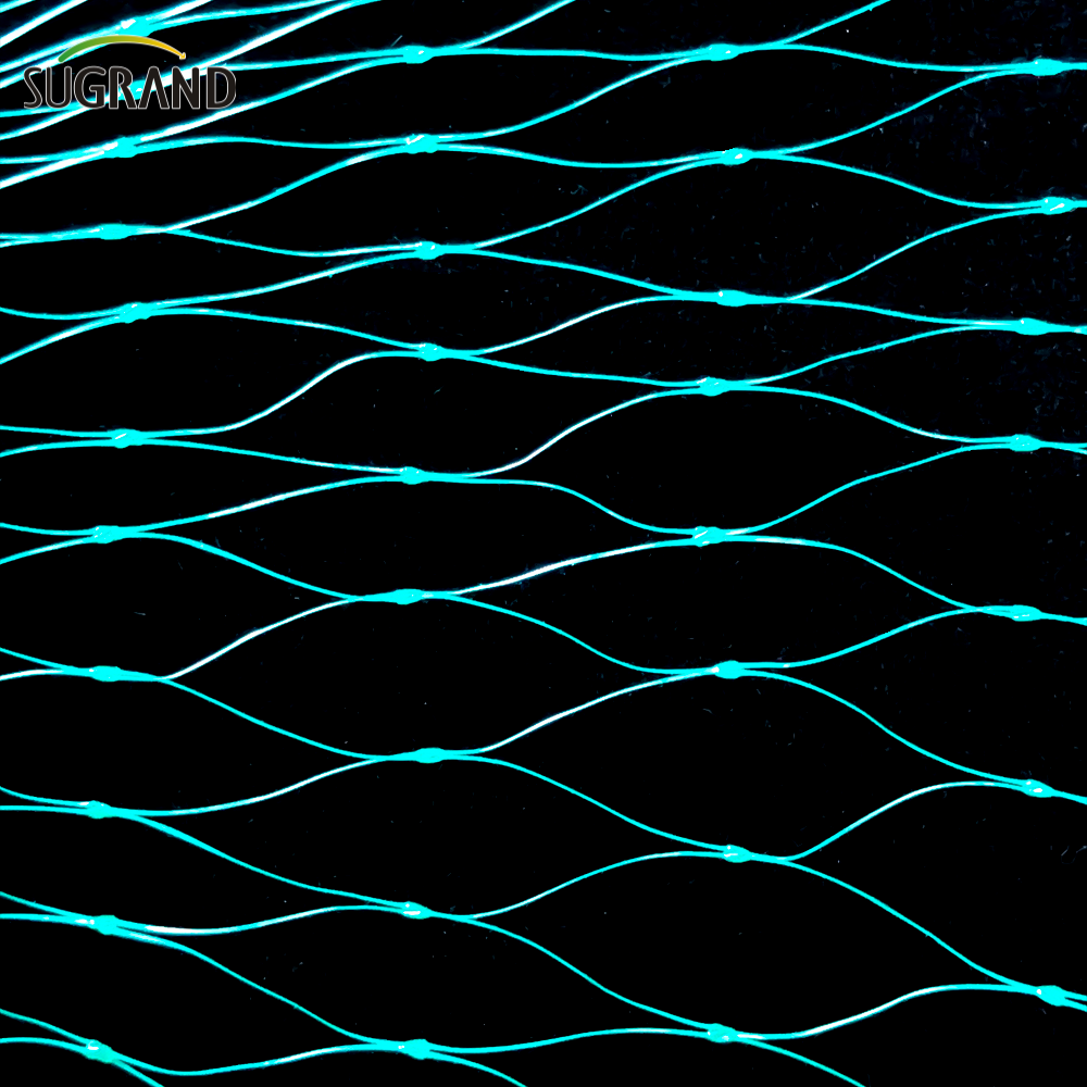 Mercato irlandese verde estruso di piante di protezione della rete anti -uccello