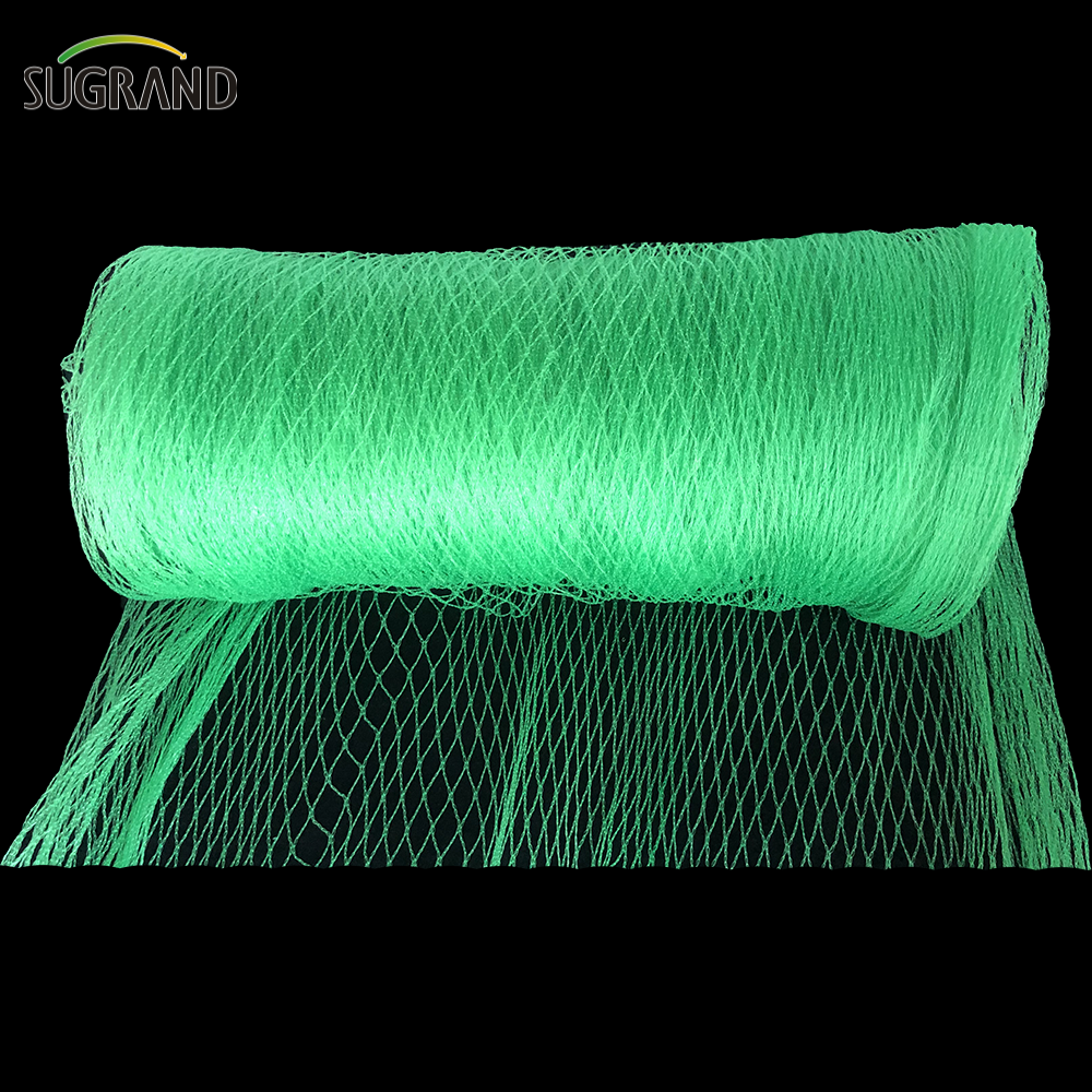 Mercato argentino Green Bird Protection Net Nylon Mist Bird Nets