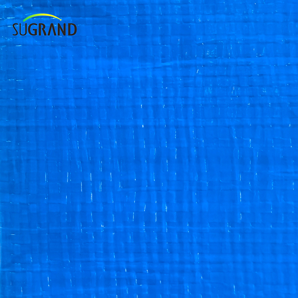 Produttore ad alta resistenza durevole blu impermeabile in PVC Tarpaulin 