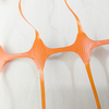 Refing arancione arancione da 1x50 m di recinzione in rete di plastica