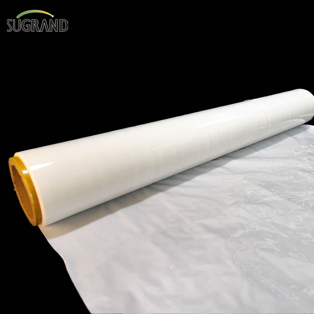 Film di insilato Film di elasticità bianca / nera insilato