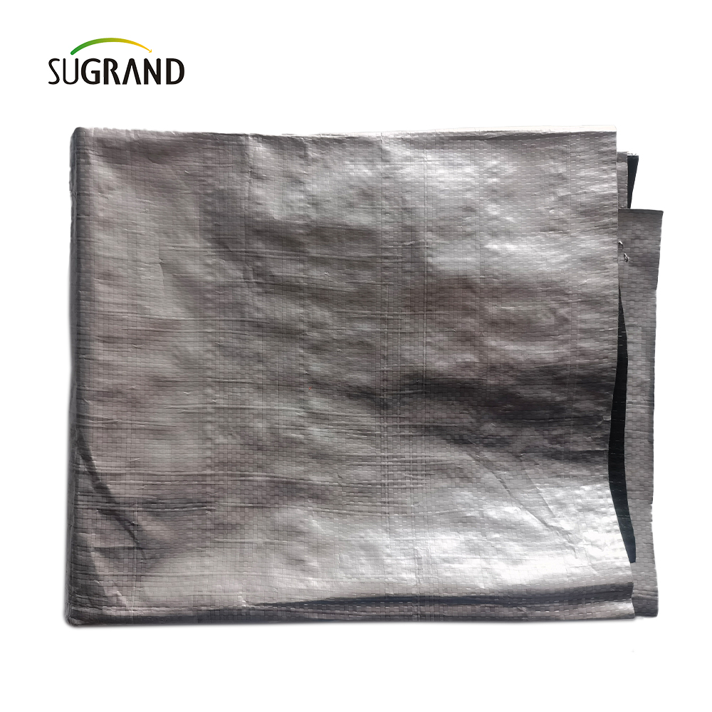 Factory Direct Wholesale White Plastic PE UV Foglio.